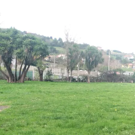 Las Palmeras Pensjonat