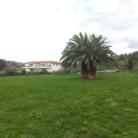 Las Palmeras Guest house *