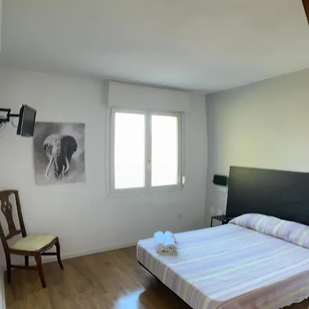 Guest house Las Palmeras Gijon